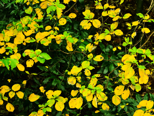 DSC_3073.JPG