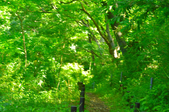DSC_4076_01.JPG