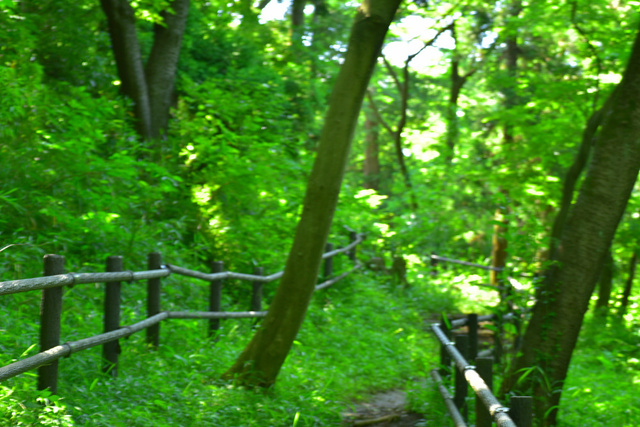 DSC_4080_01.JPG