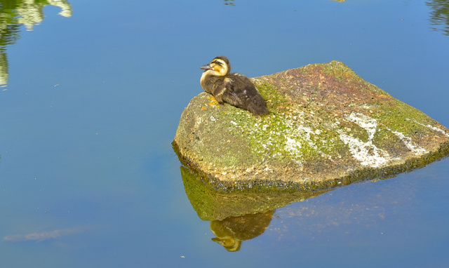 DSC_4120_01.JPG